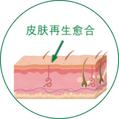菲彩国际·(中国区)有限公司官网