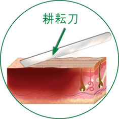 菲彩国际·(中国区)有限公司官网