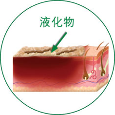 菲彩国际·(中国区)有限公司官网