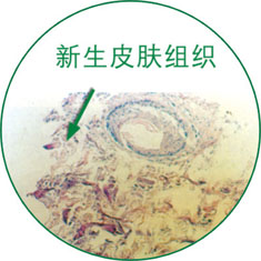菲彩国际·(中国区)有限公司官网