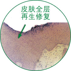 菲彩国际·(中国区)有限公司官网