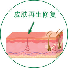 菲彩国际·(中国区)有限公司官网