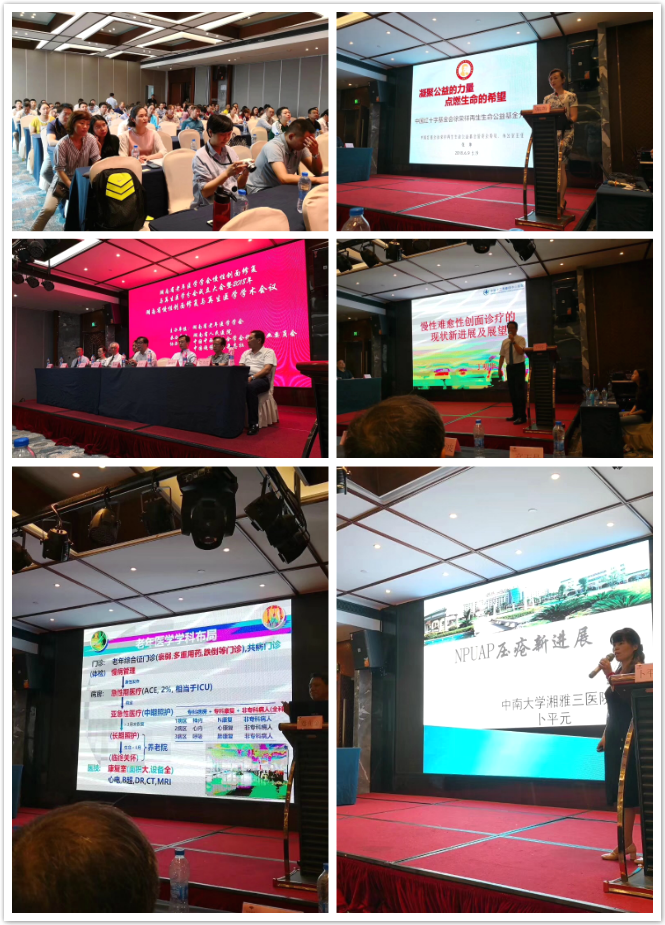菲彩国际·(中国区)有限公司官网