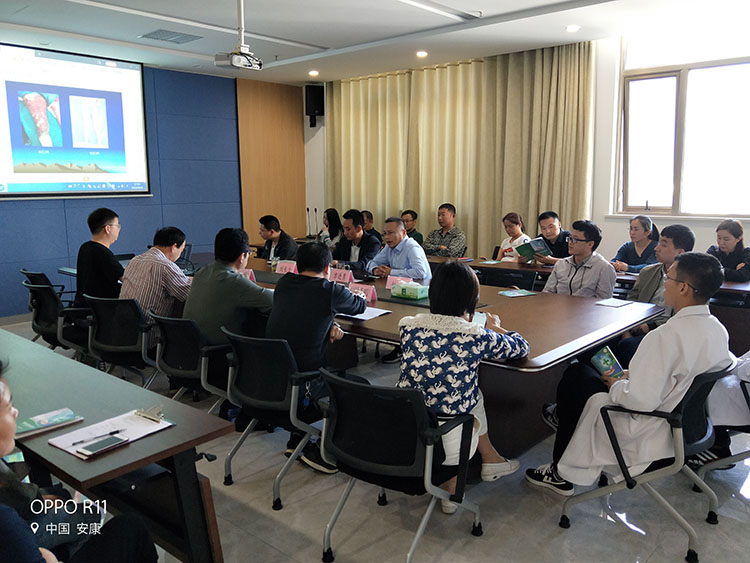 菲彩国际·(中国区)有限公司官网