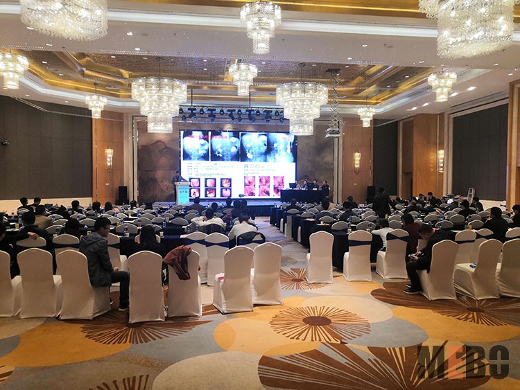 菲彩国际·(中国区)有限公司官网