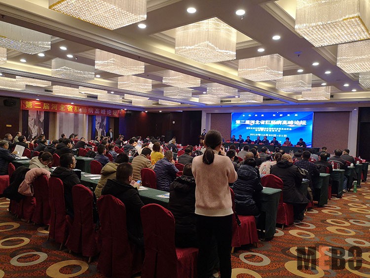 菲彩国际·(中国区)有限公司官网