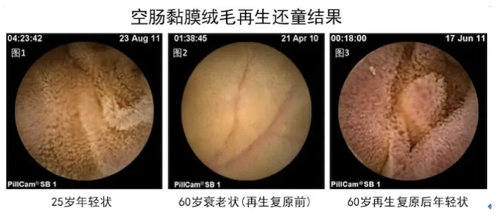 菲彩国际·(中国区)有限公司官网