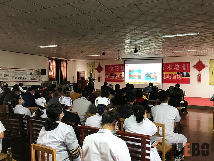 菲彩国际·(中国区)有限公司官网