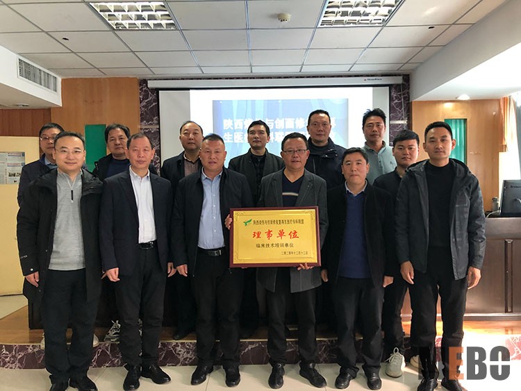 菲彩国际·(中国区)有限公司官网