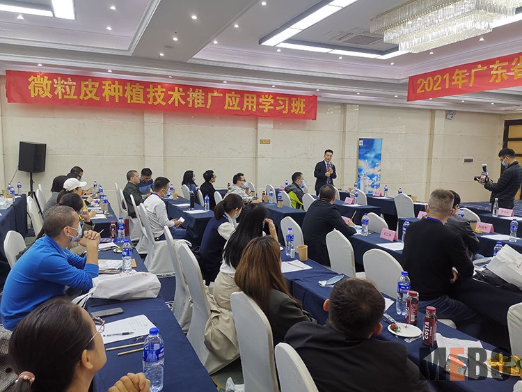 菲彩国际·(中国区)有限公司官网