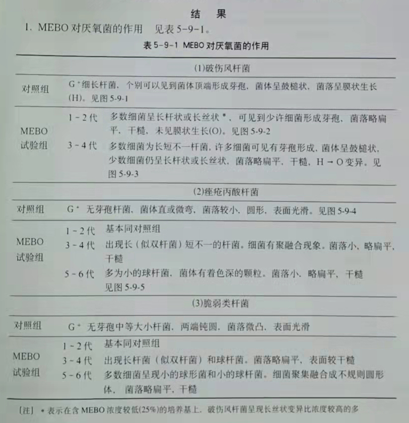 菲彩国际·(中国区)有限公司官网