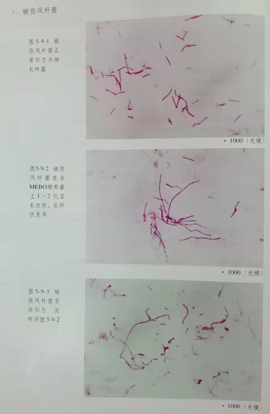 菲彩国际·(中国区)有限公司官网