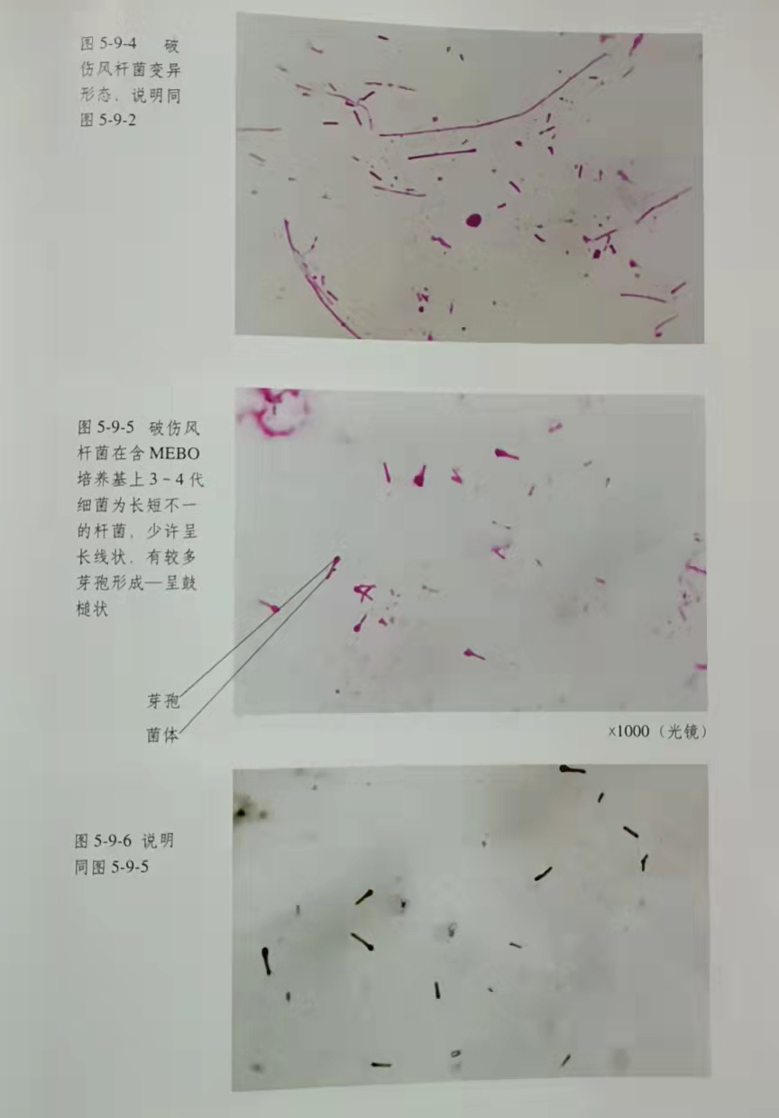 菲彩国际·(中国区)有限公司官网