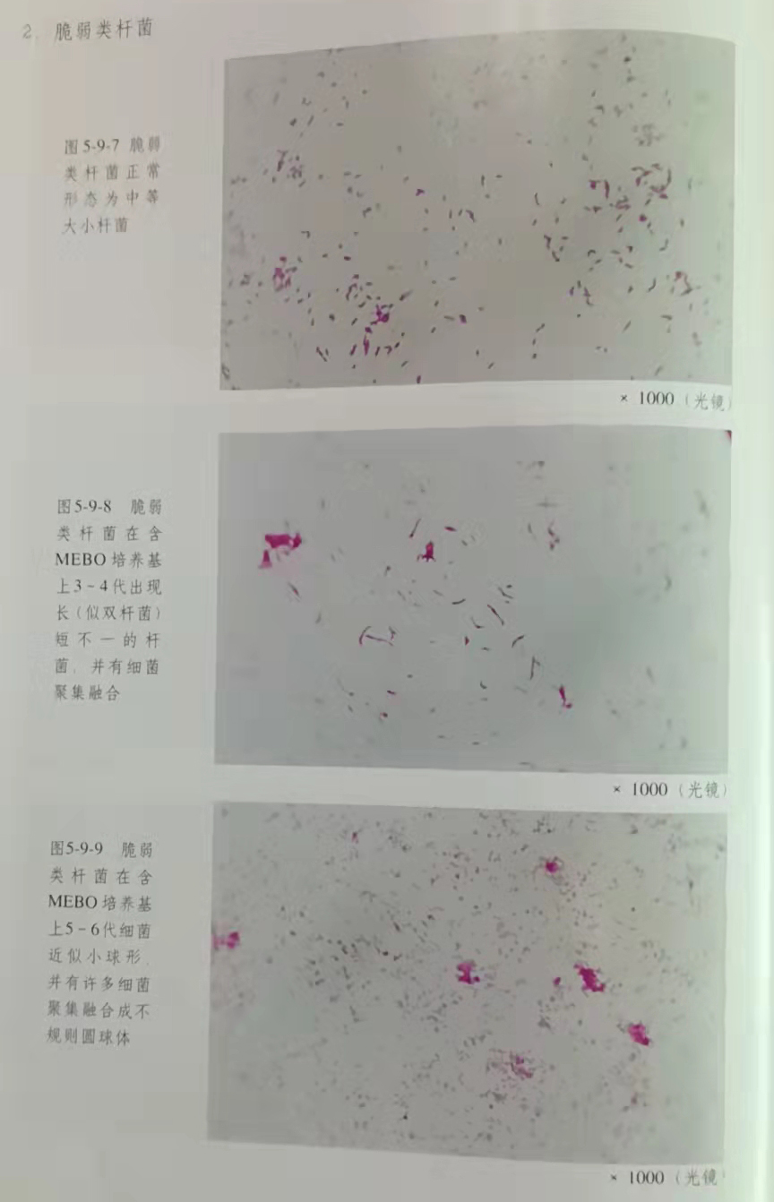 菲彩国际·(中国区)有限公司官网