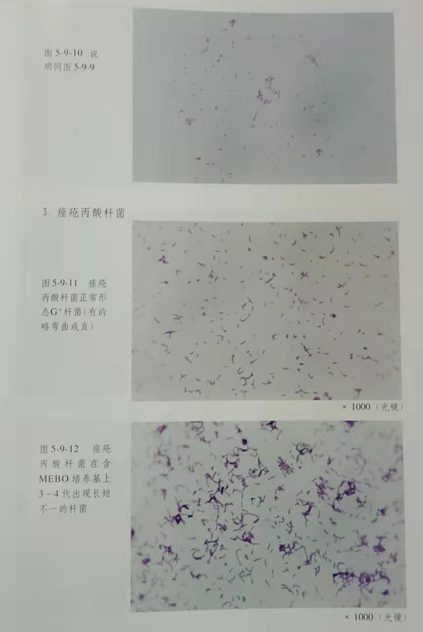菲彩国际·(中国区)有限公司官网