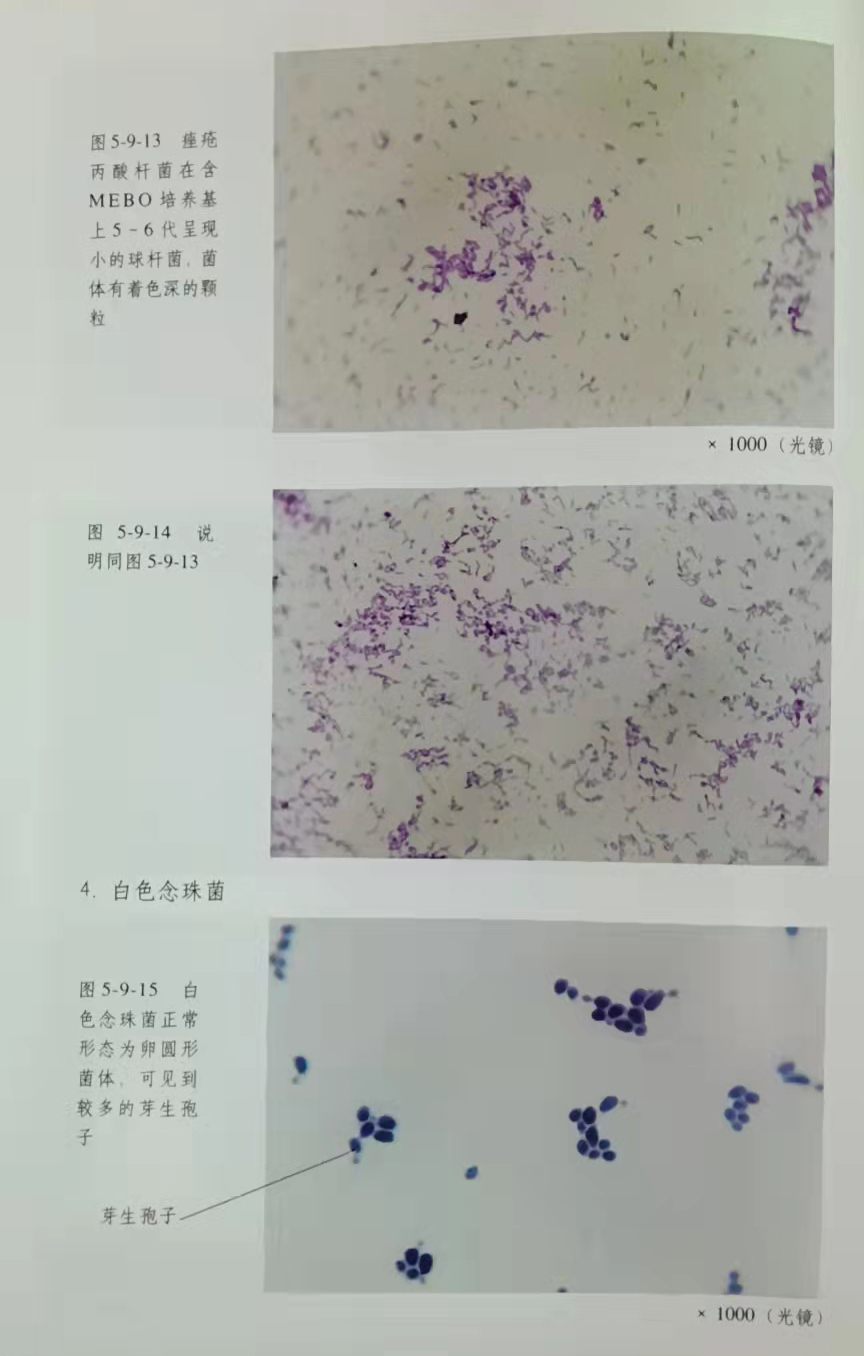 菲彩国际·(中国区)有限公司官网