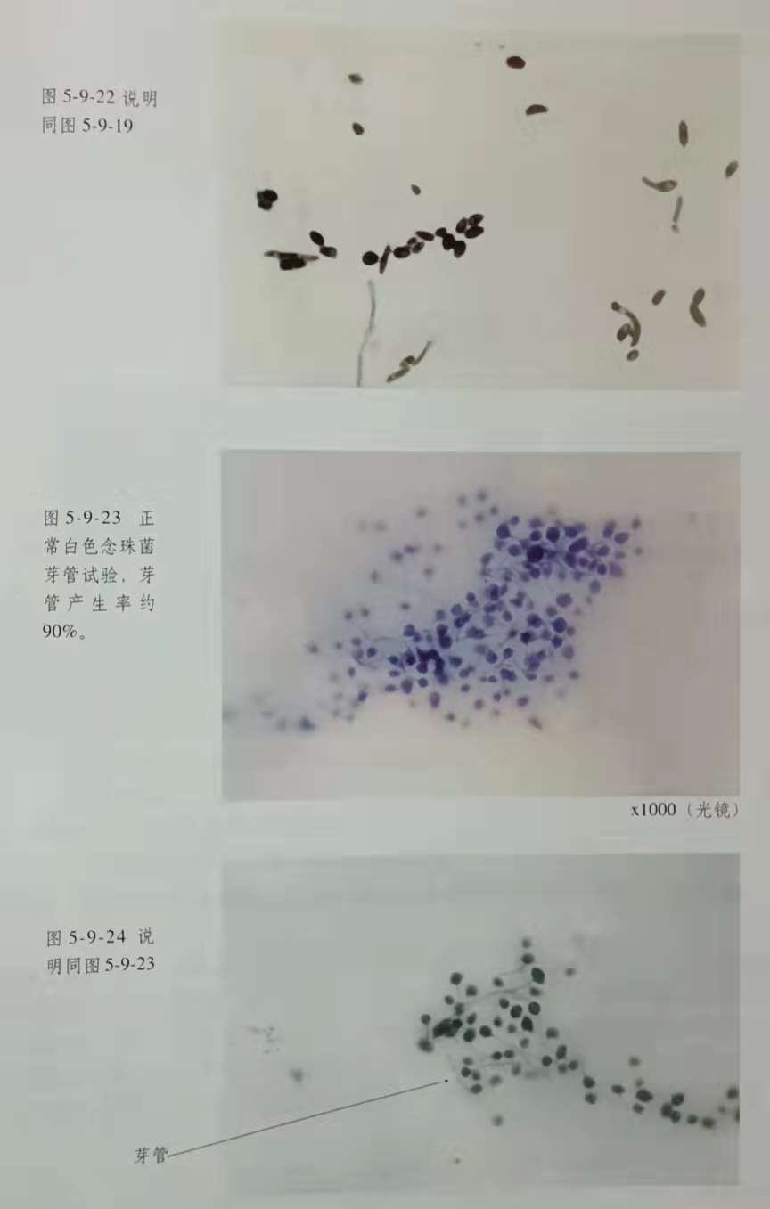 菲彩国际·(中国区)有限公司官网