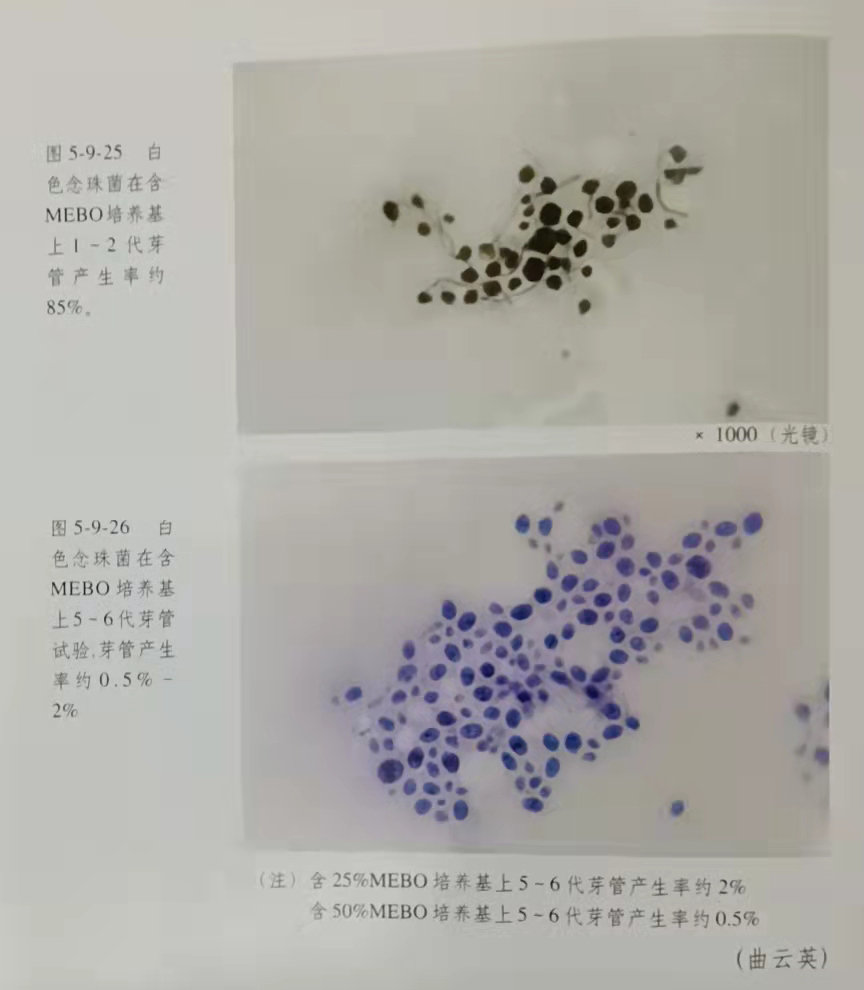 菲彩国际·(中国区)有限公司官网