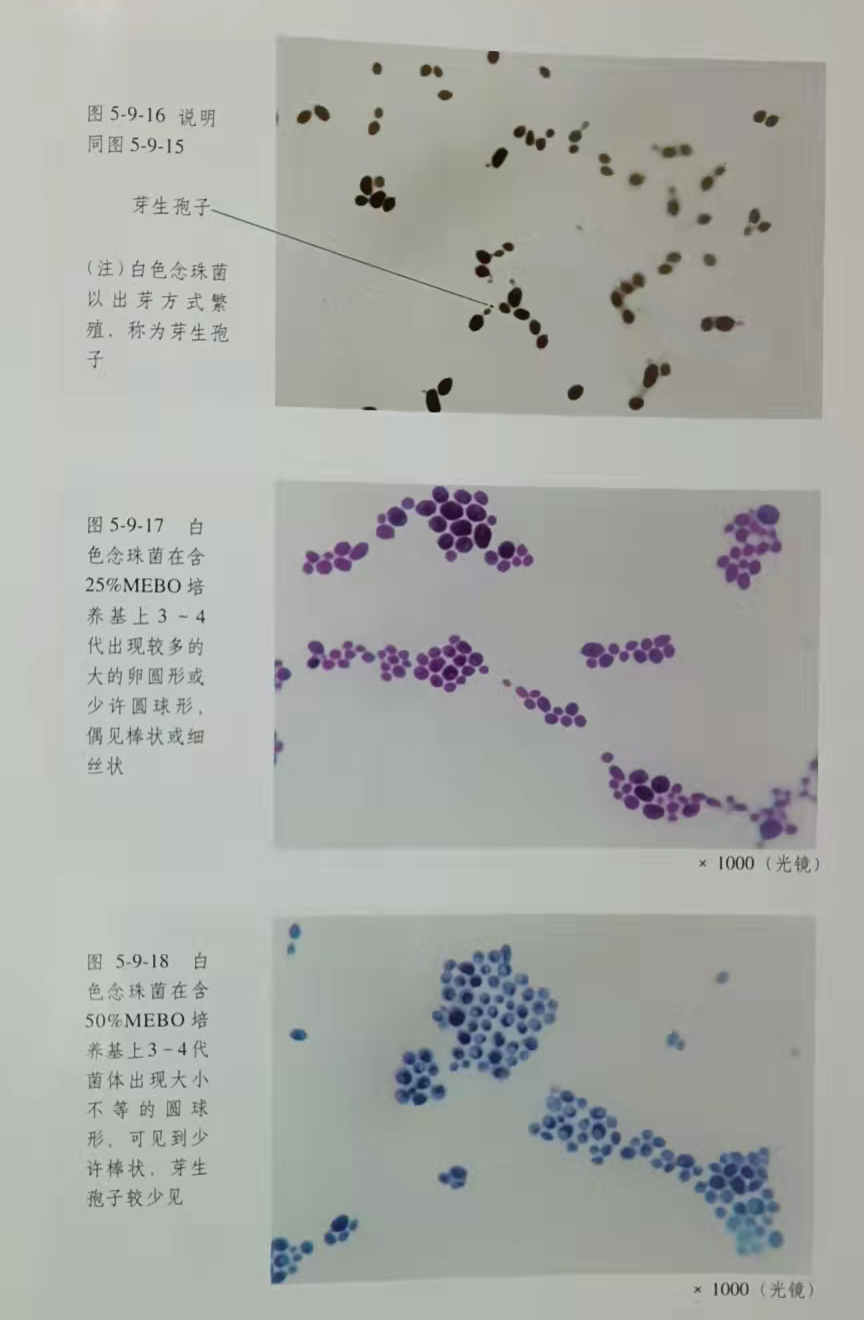 菲彩国际·(中国区)有限公司官网