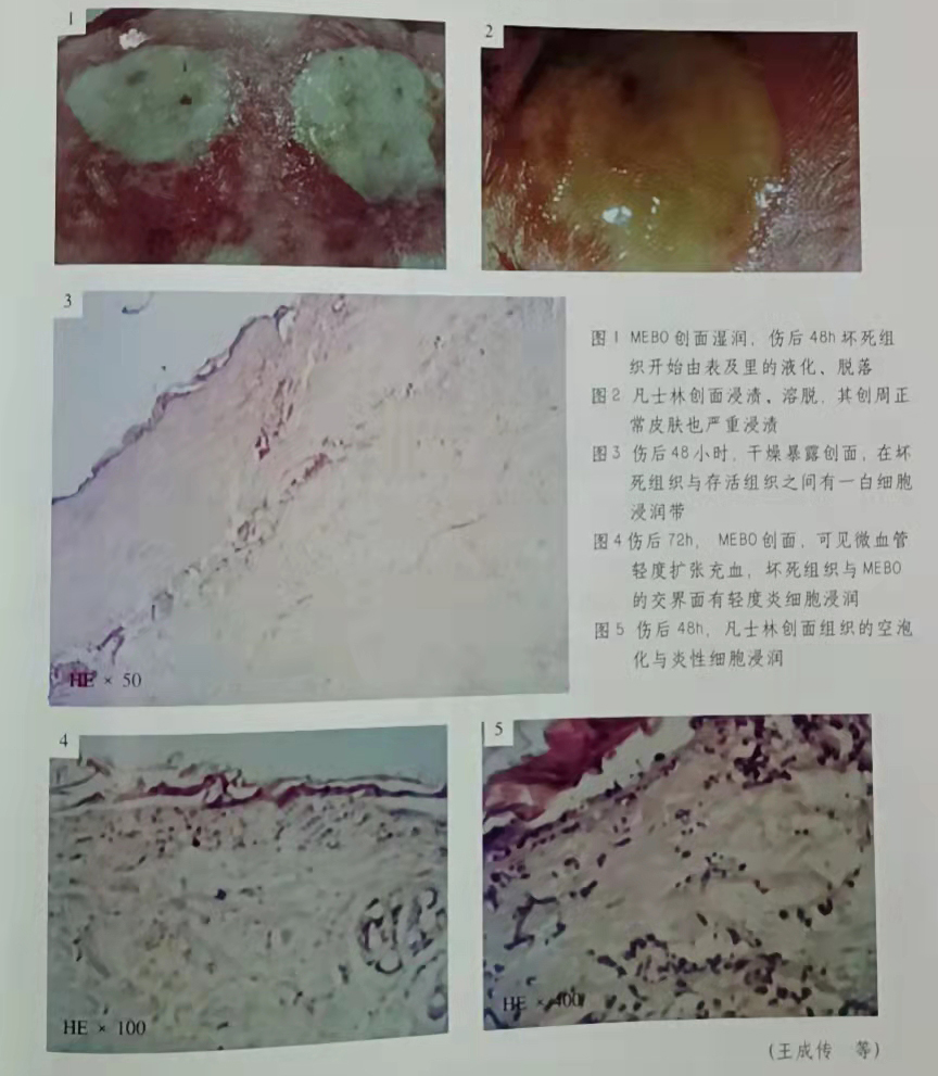 菲彩国际·(中国区)有限公司官网