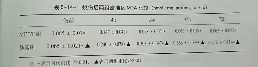 菲彩国际·(中国区)有限公司官网