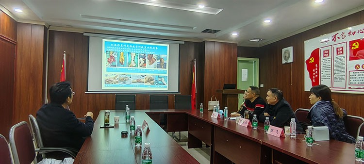 菲彩国际·(中国区)有限公司官网