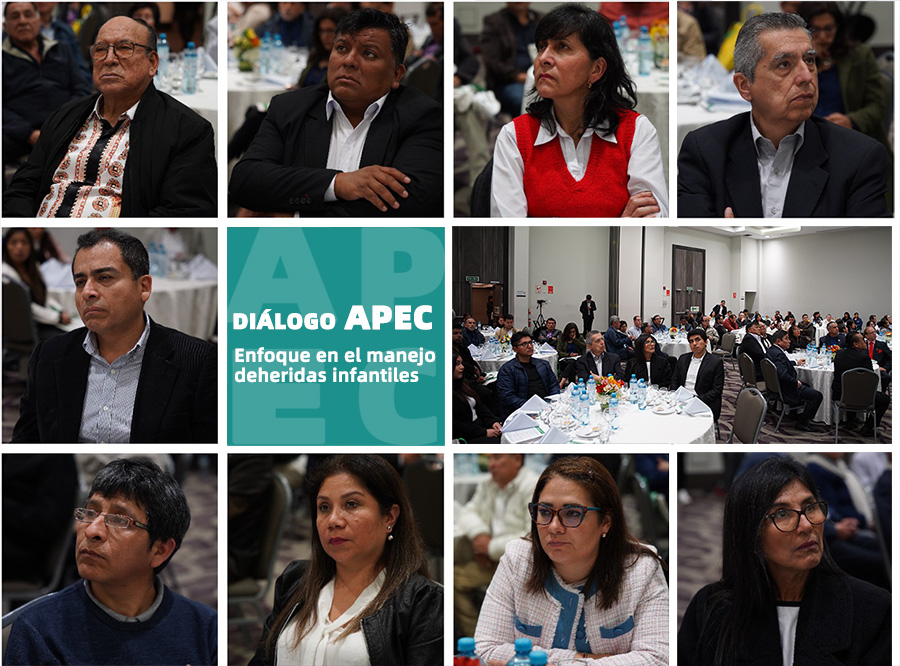 菲彩国际集团_菲彩国际APEC2024行动：拉丁美洲论坛乐成举行，，深化区域医疗相助与生长