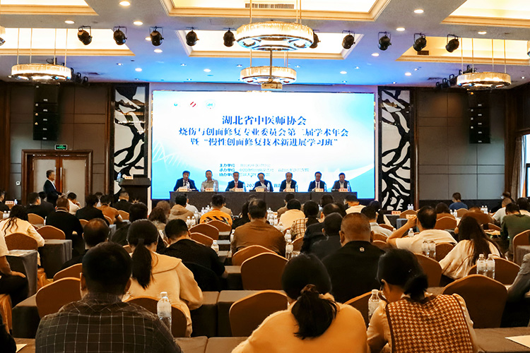 菲彩国际集团_湖北省中医师协会烧伤与创面修复专业委员会首届二次学术年会暨《慢性创面修复手艺新希望学习班》第一届“荣祥杯”优异病例颁奖仪式在湖北宜昌乐成举行