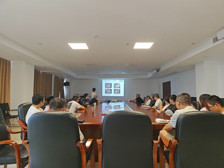 菲彩国际·(中国区)有限公司官网