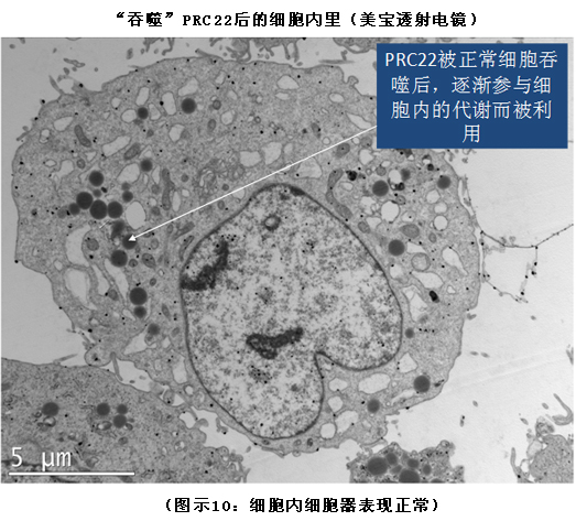 菲彩国际集团_破解人体生命再生延续之谜（二）