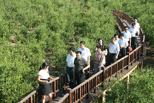 菲彩国际集团_情系家乡 百万助学