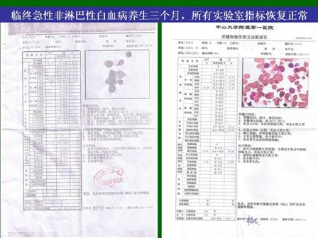 菲彩国际·(中国区)有限公司官网