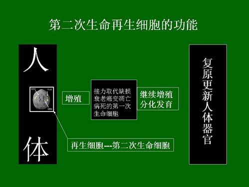 菲彩国际·(中国区)有限公司官网