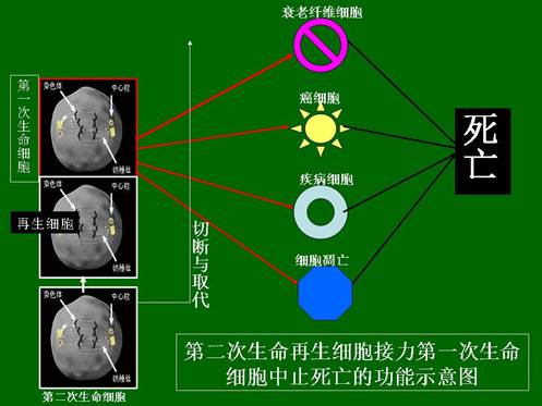 菲彩国际·(中国区)有限公司官网