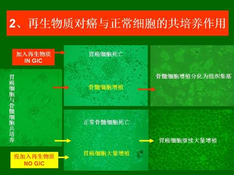 菲彩国际·(中国区)有限公司官网