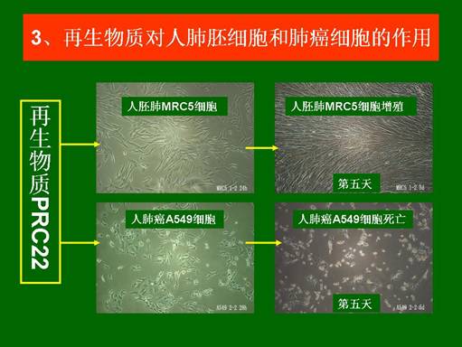 菲彩国际·(中国区)有限公司官网