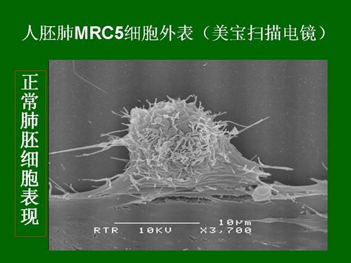 菲彩国际·(中国区)有限公司官网