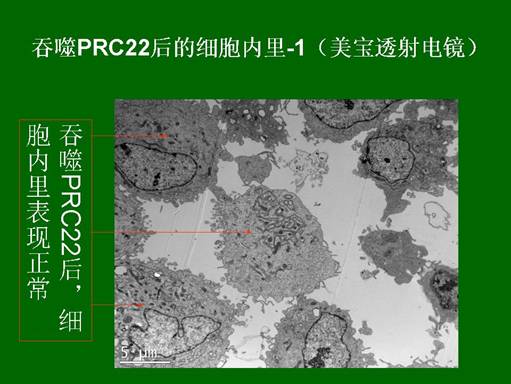 菲彩国际·(中国区)有限公司官网