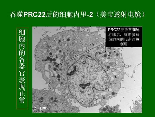 菲彩国际·(中国区)有限公司官网