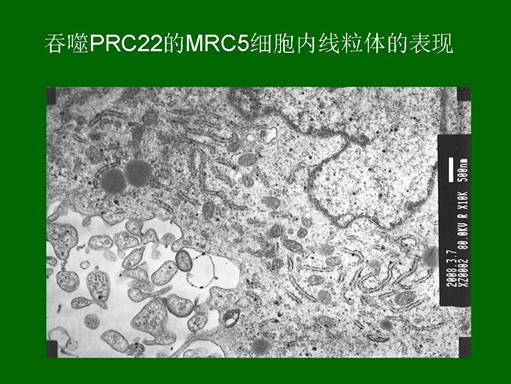 菲彩国际·(中国区)有限公司官网