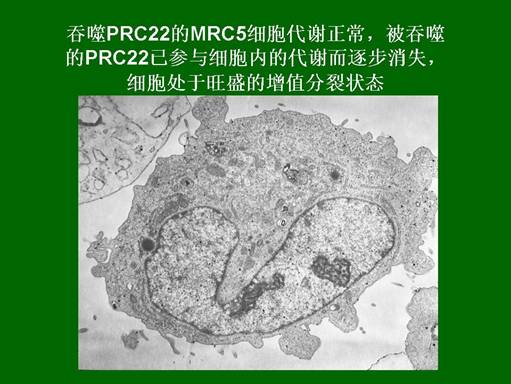 菲彩国际·(中国区)有限公司官网