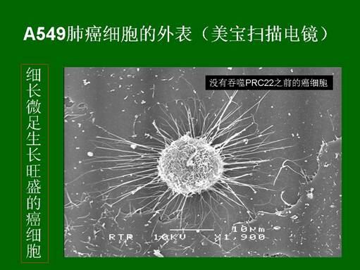 菲彩国际·(中国区)有限公司官网