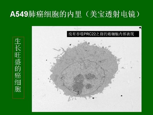 菲彩国际·(中国区)有限公司官网