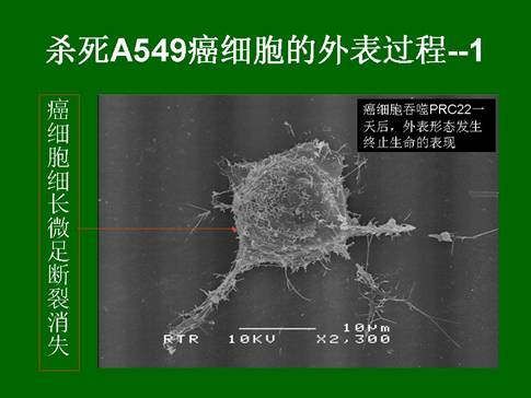菲彩国际·(中国区)有限公司官网