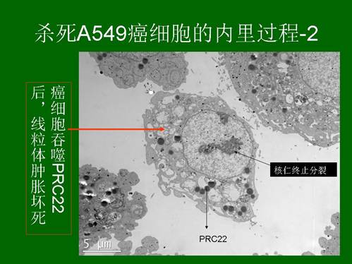 菲彩国际·(中国区)有限公司官网