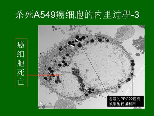 菲彩国际·(中国区)有限公司官网