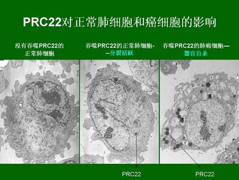 菲彩国际·(中国区)有限公司官网