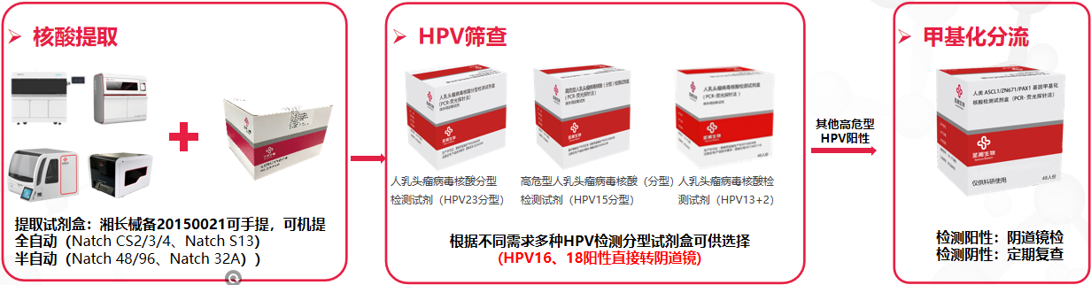 PP电子5金狮·(中国区)游戏官方网站