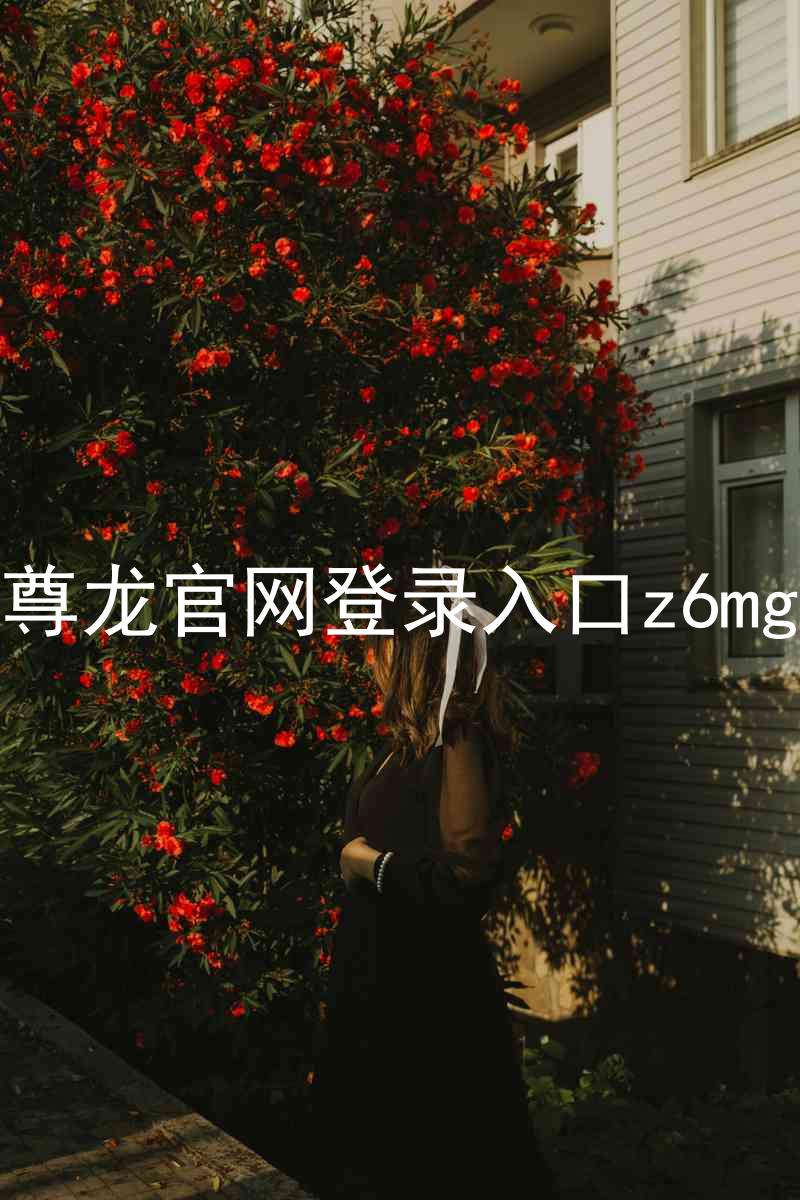 尊龙官网登录入口z6mg