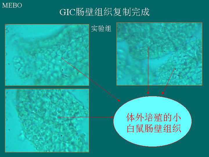 菲彩国际·(中国区)有限公司官网